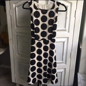 Polka Dot Talbots Dress